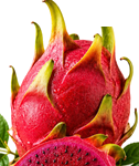 Dragon fruit