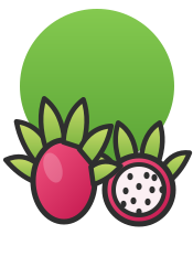 Dragon fruit