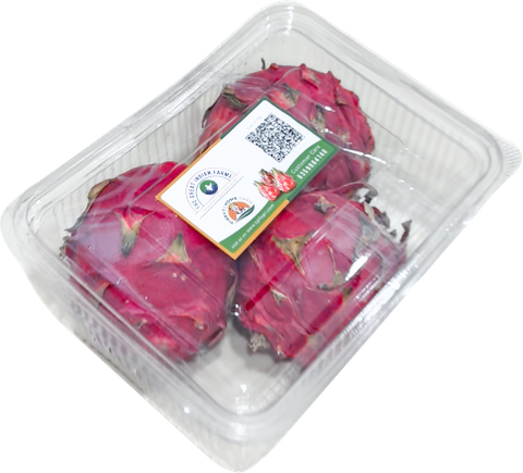 Dozen box of fresh dragon fruit